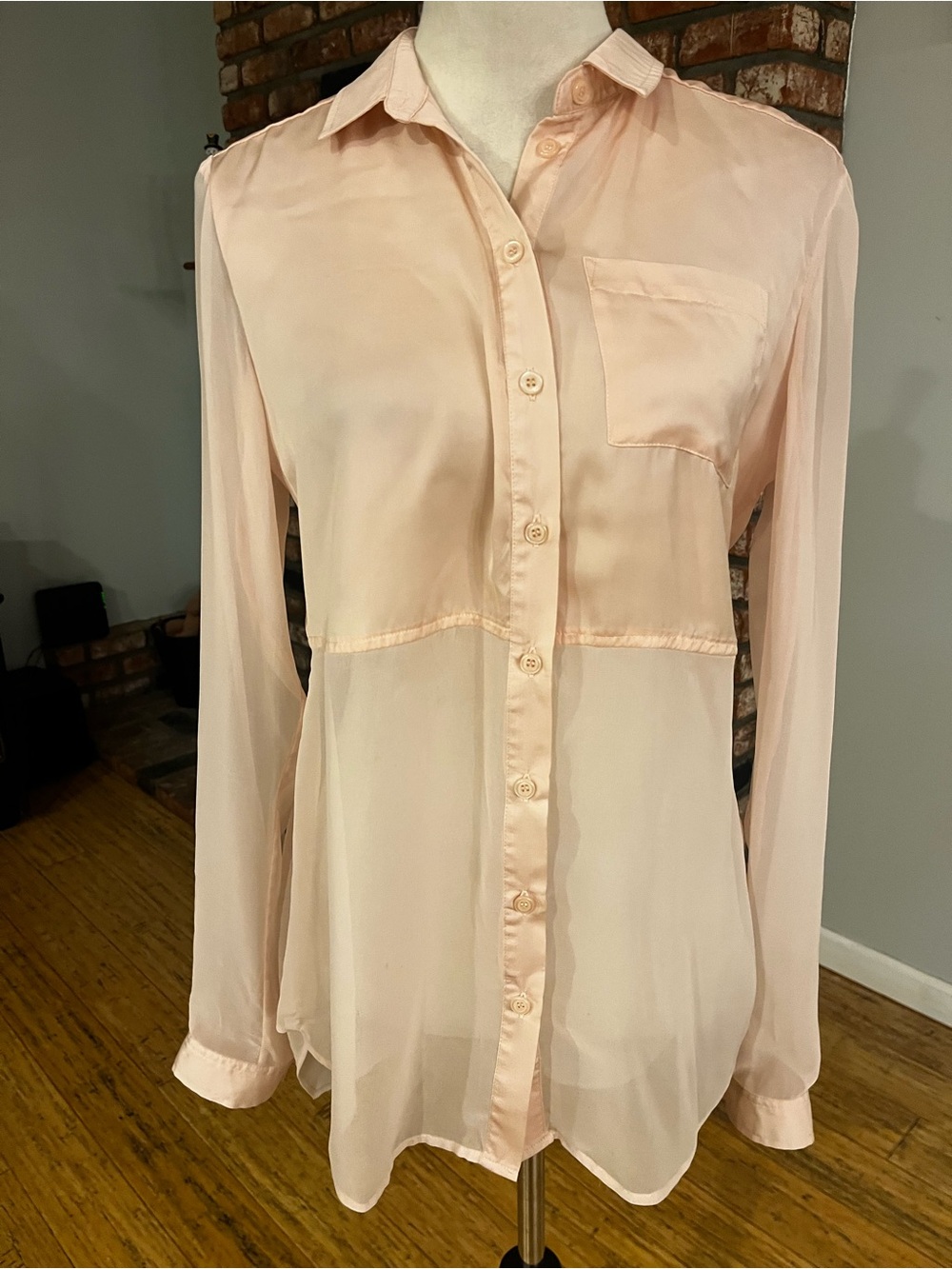 Free People Pink Sheer Button-Down Blouse